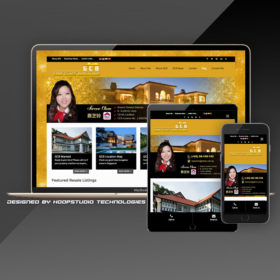 Property agent website design service and portfolio